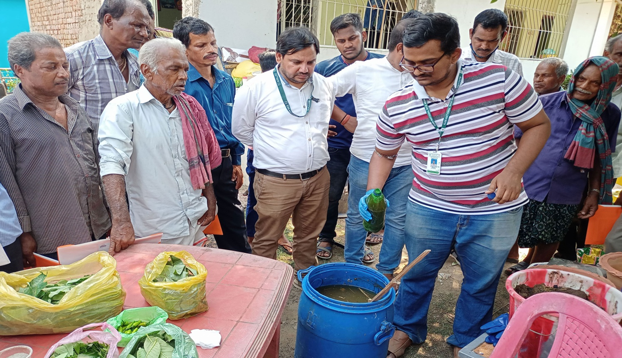 Organic pesticide preparation demo